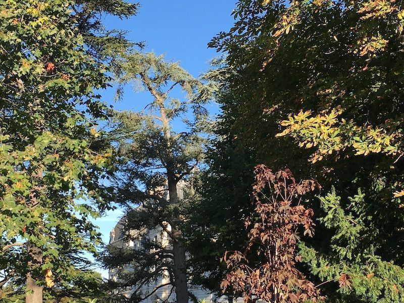 Castillo de Cheverny