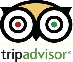 TripAdvisor 300x256