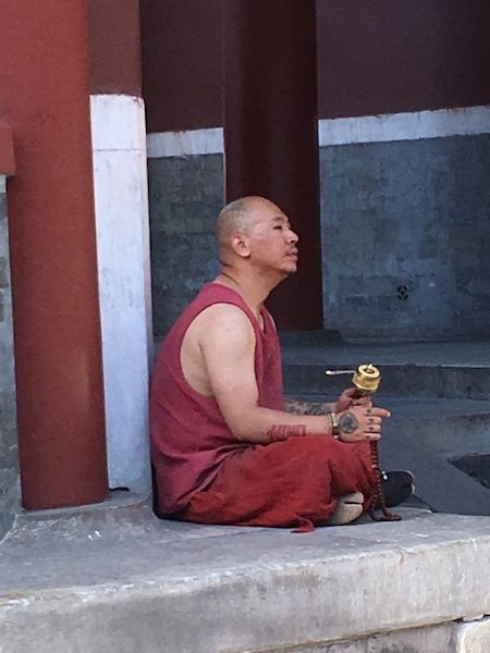 Lama1