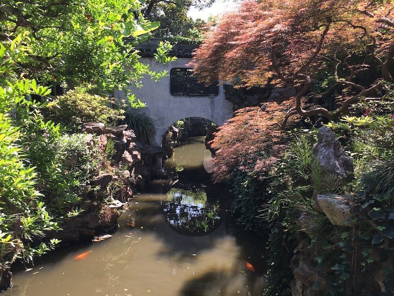 Yuyuan3