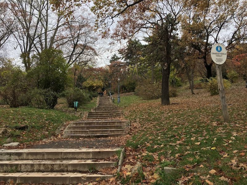 Gellert6
