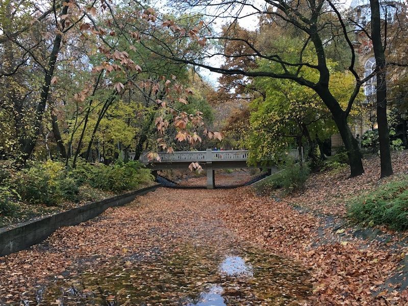 Parque1