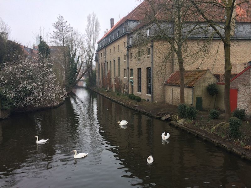Brujas
