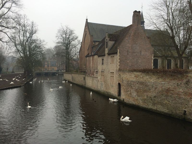 Brujas