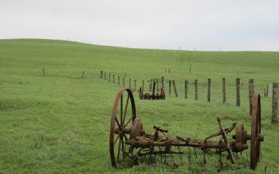 Dublín primer día: Llegada y recorriendo el Sureste