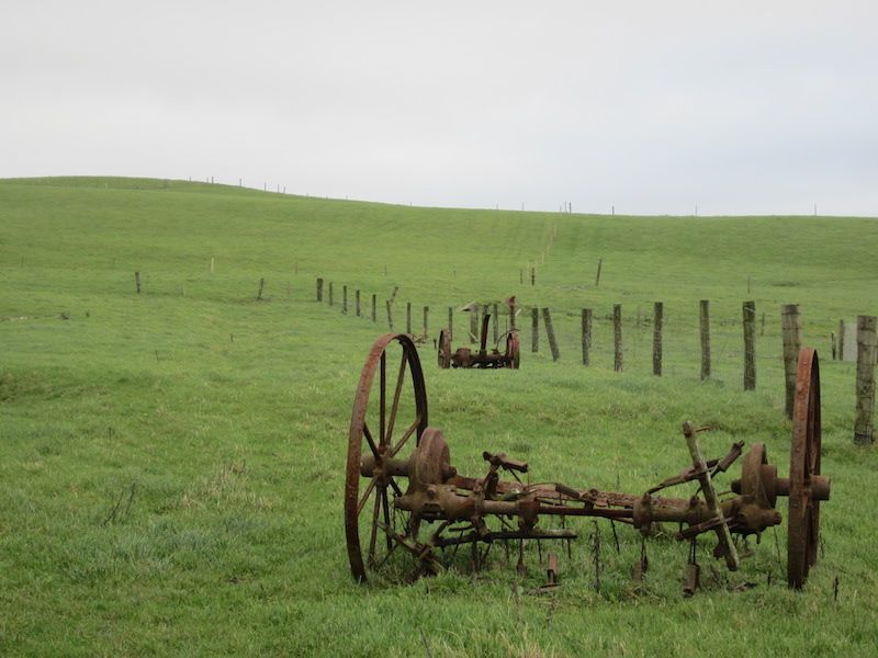 Irlanda1
