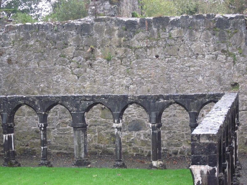 Portumna1