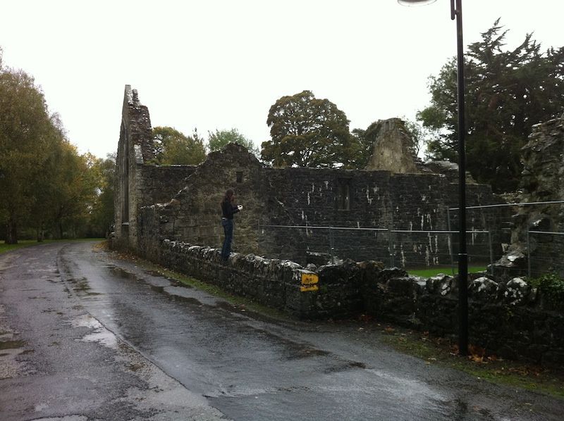 Portumna2