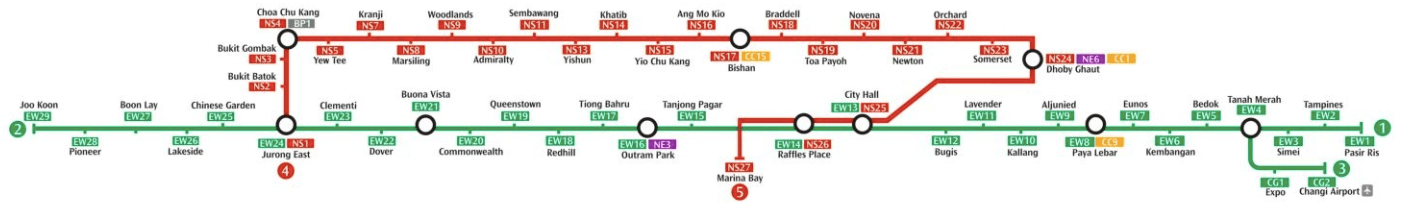 Capturametrosingapur6