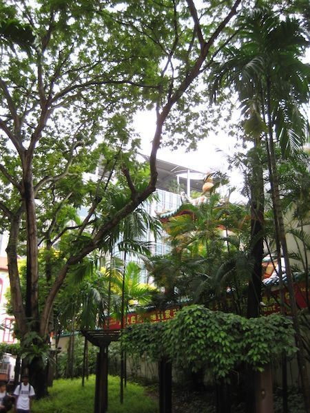 Thianhockkeng2