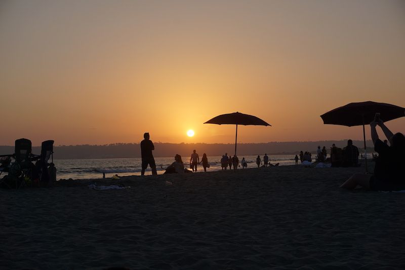 Coronoda5