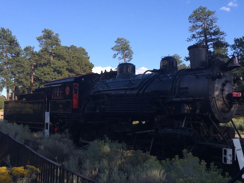 Locomotoragc1