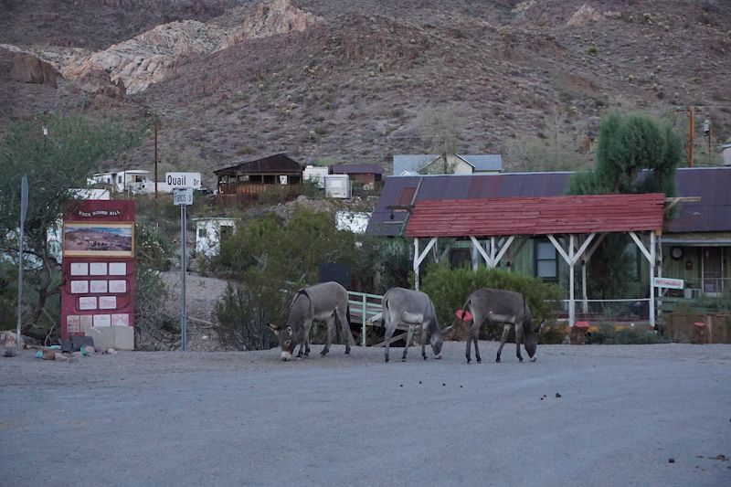 Oatmanco12