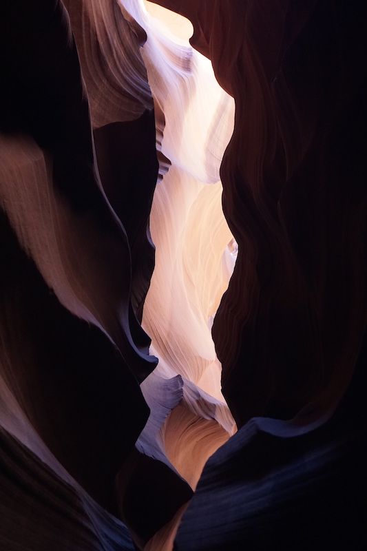 Antelope16