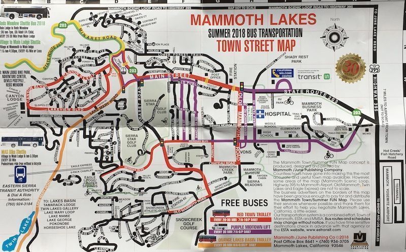 Mammoth1
