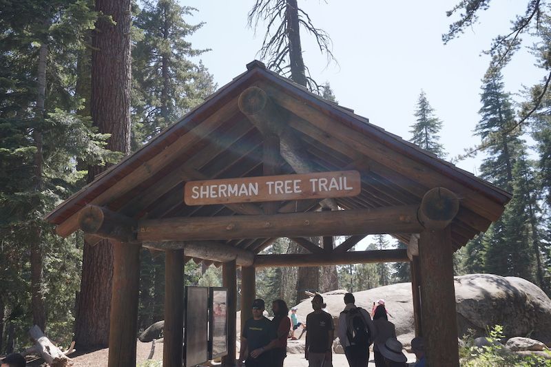 Sherman2