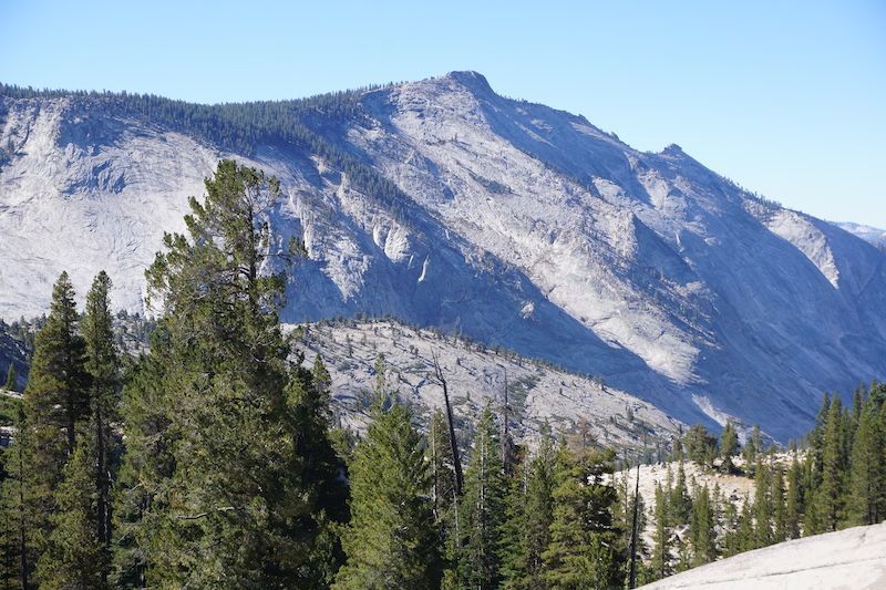 Tioga11