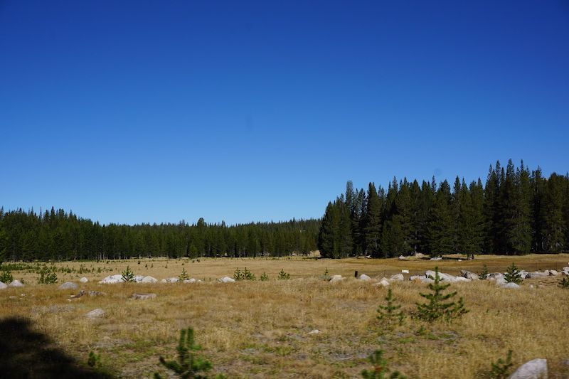 Tioga7