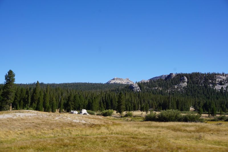 Tioga8