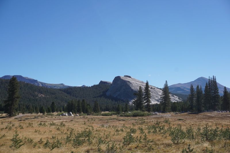 Tioga9