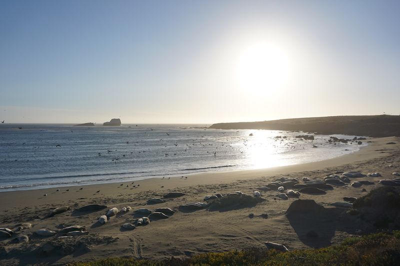 Bigsur11