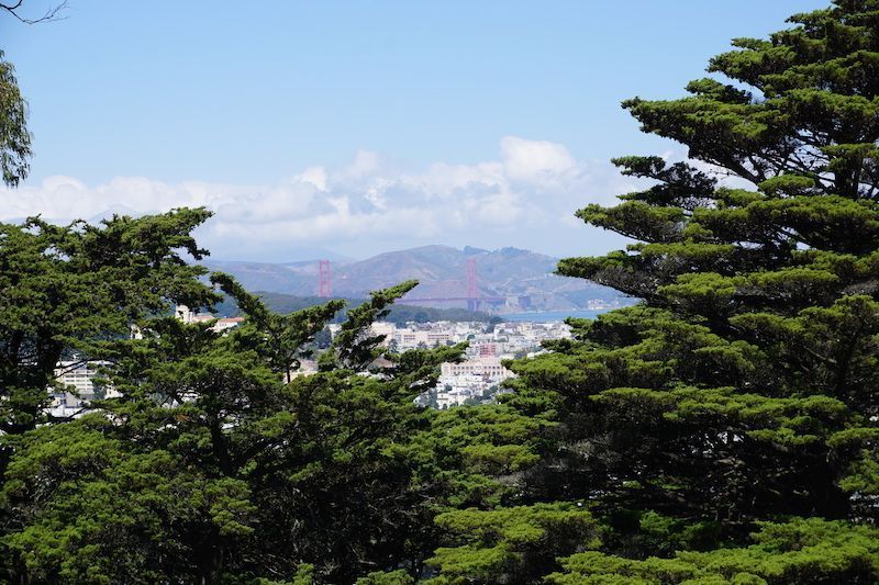 Buenavista3