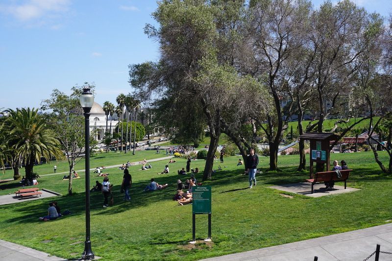 Dolores3