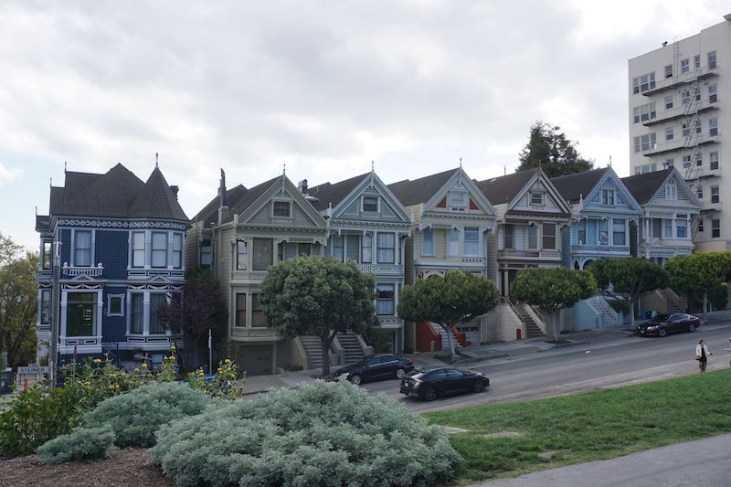 Paintedladies1