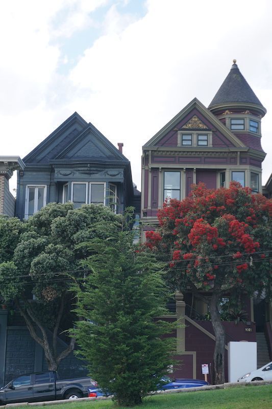 Paintedladies3