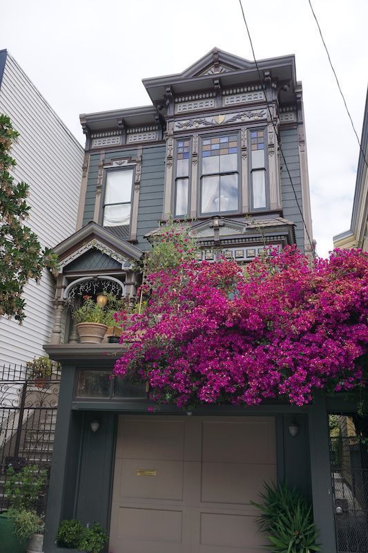 Paintedladies4