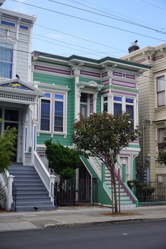 Paintedladies5