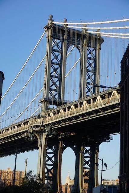 Dumbo4