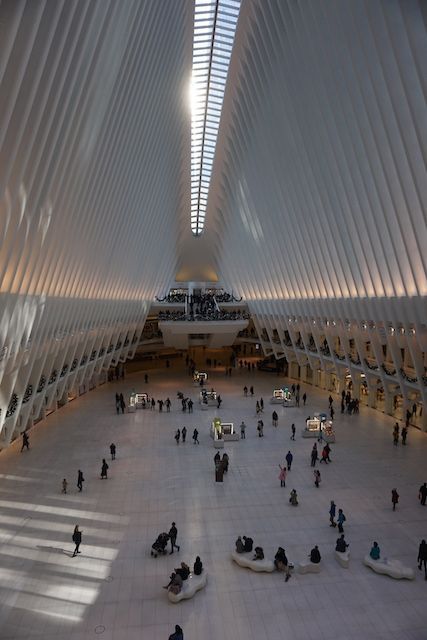 Oculus2