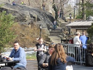 Perritoscentralpark1