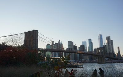 Nueva York en 4 días. Cuarto día.