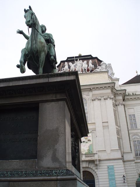 Viena7
