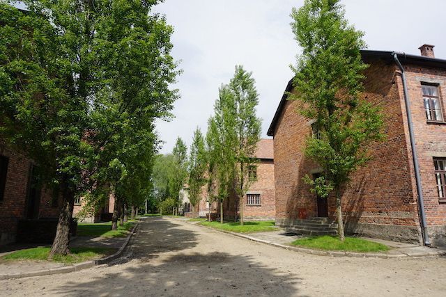 Auschwitz5