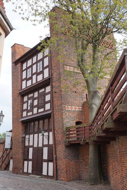 Torun11