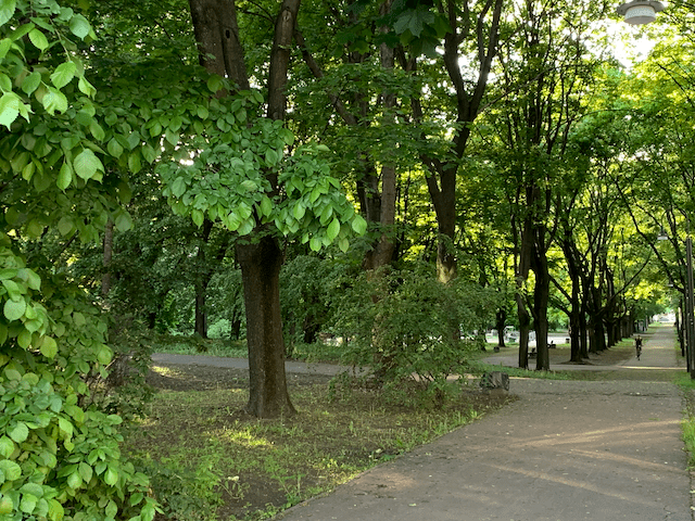 Varsoviapraha2