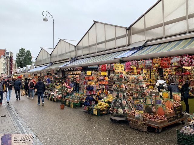 Mercado flores