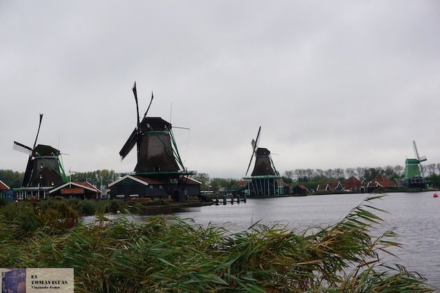 Zaanse1
