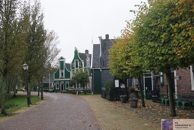 Zaanse5