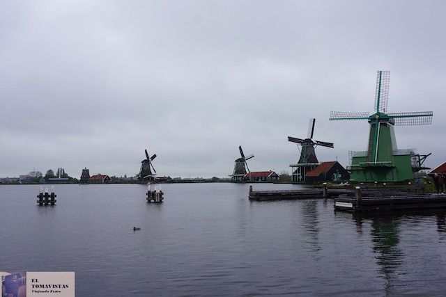 Zaanse6