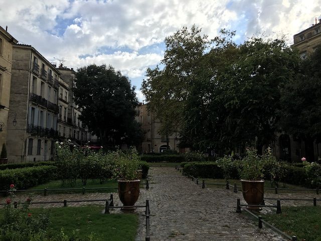 EclussonMontpellier1