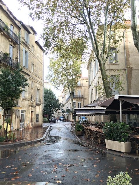 EclussonMontpellier3