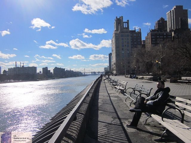 NY2020.14