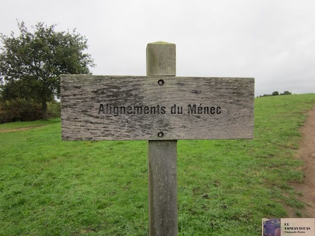 Carnac 14