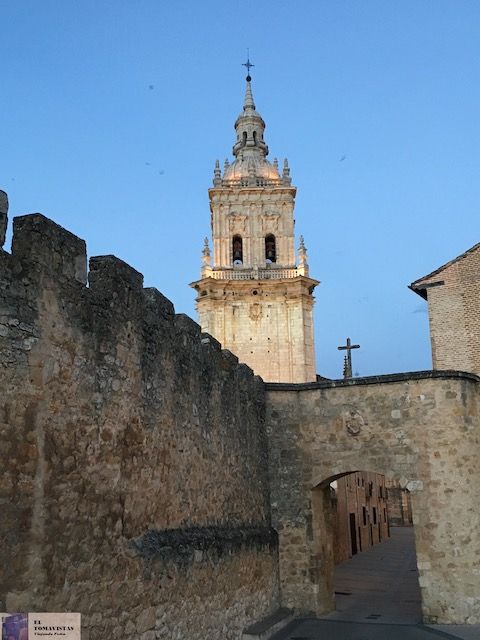 Burgo 21