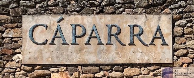Yacimiento Arqueológico de Cáparra, Cáceres