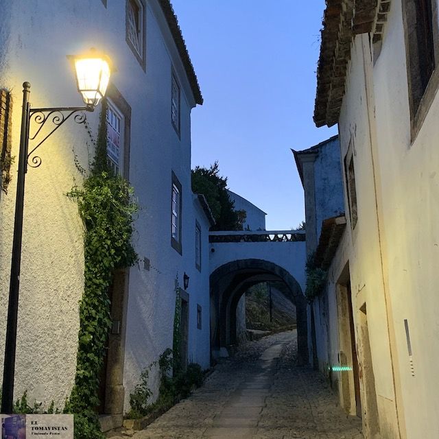 1AA.MARVAO10 29